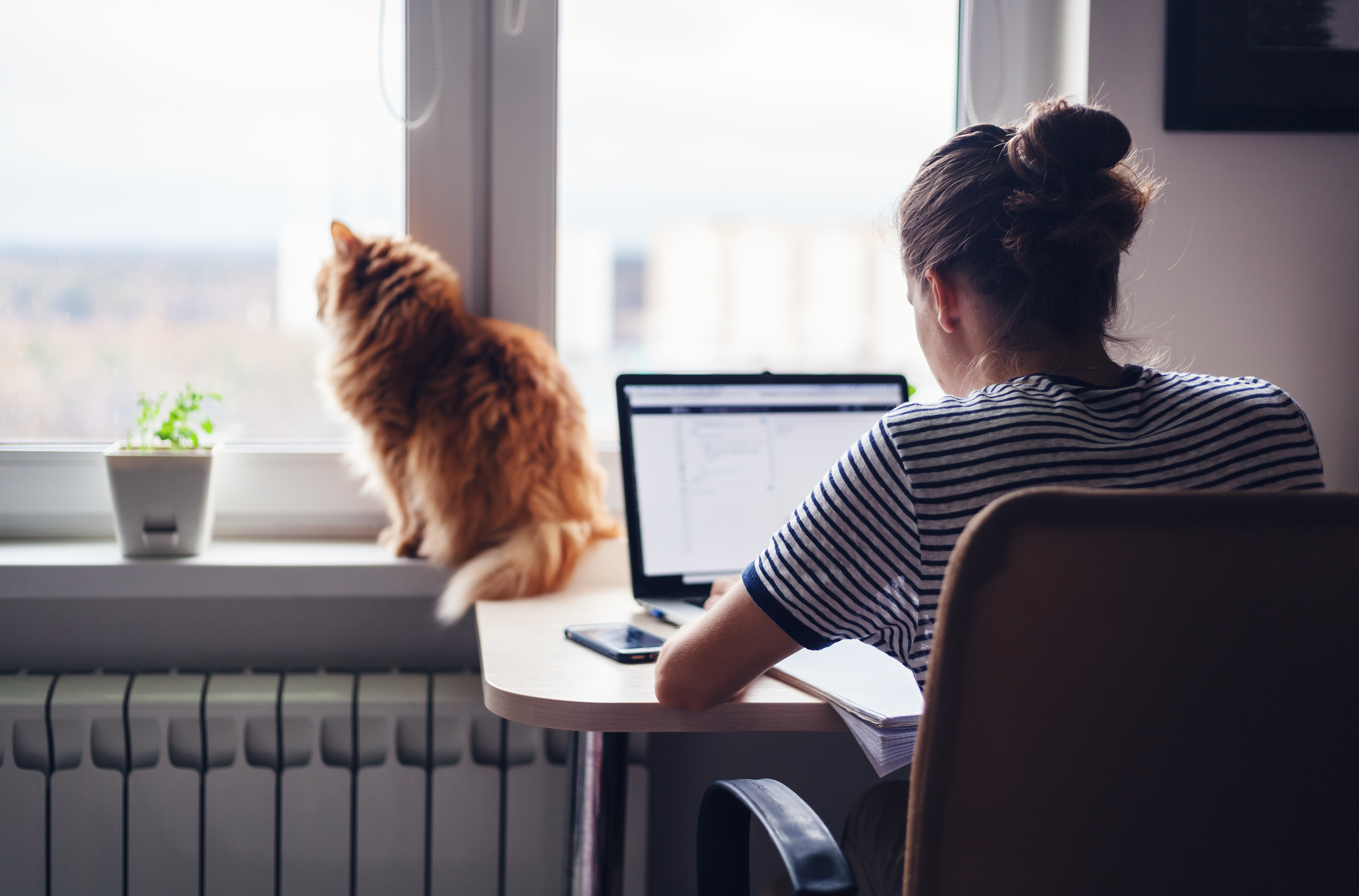 Working From Home – Pros and Cons 1 working from home
