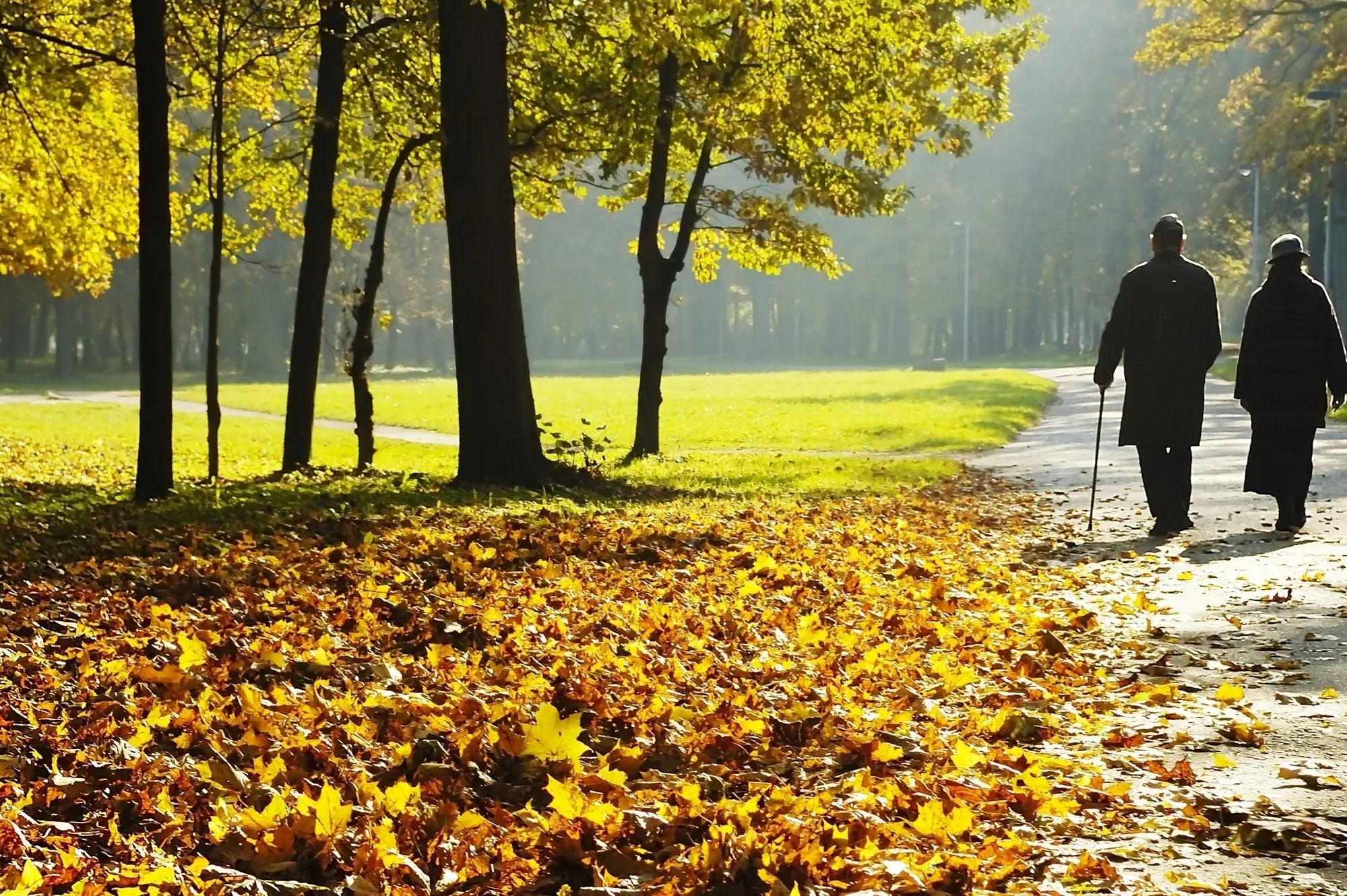 The Power of the Aged Pension: An Easy Approach 1 Insight Advisory Group - Unlocking the Potential of Aged Pension - Aged pension