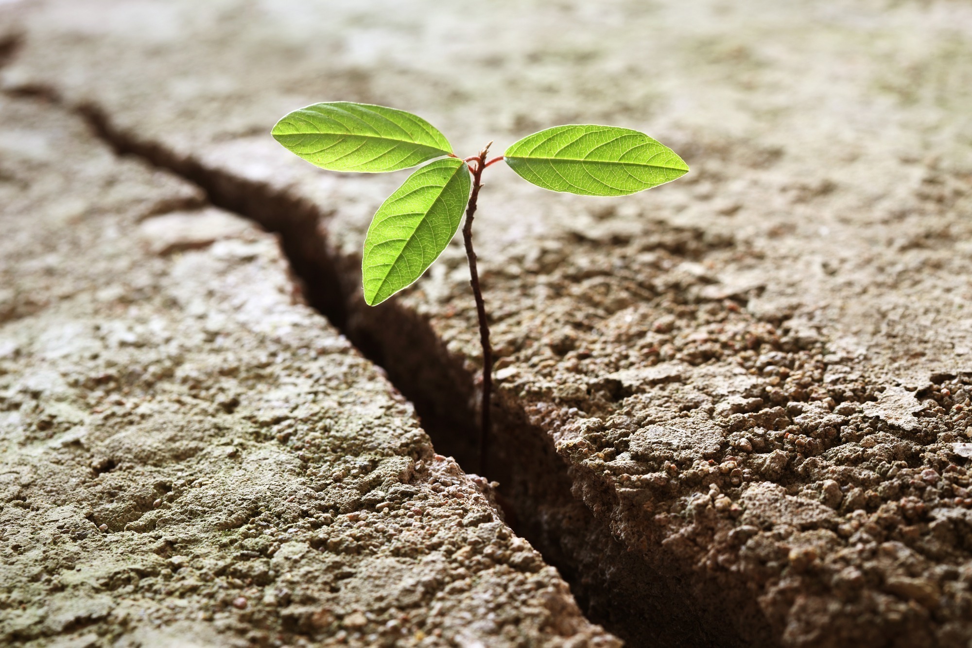 Financial Success: How The 4 Mindsets Affects Your Wealth 1 Insight Advisory Group - The key to financial success - Financial success