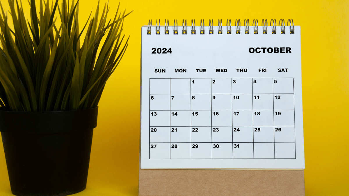 Reminder: Secure Your R&D Tax Incentive Benefits by 31st October 1 R&D Tax Incentive Claims are Due on 31st October