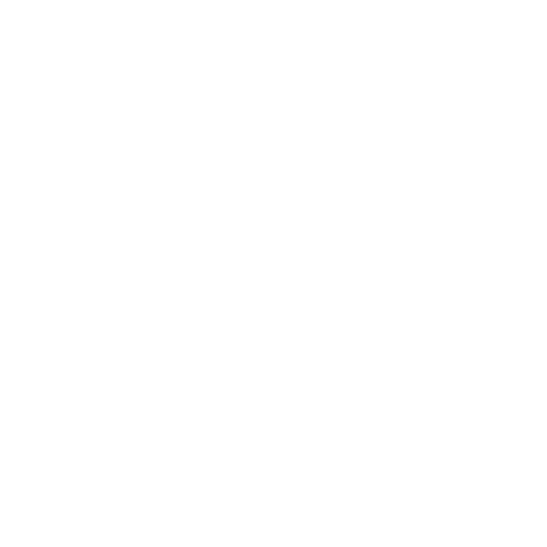 Personal Services 5 Revisit Goals
