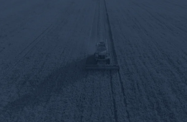 Why Insight 11 Agriculture