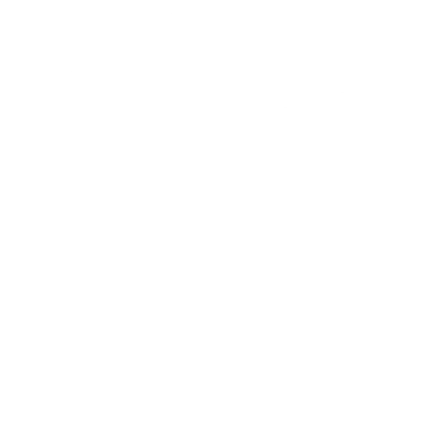 About us 12 Global Network