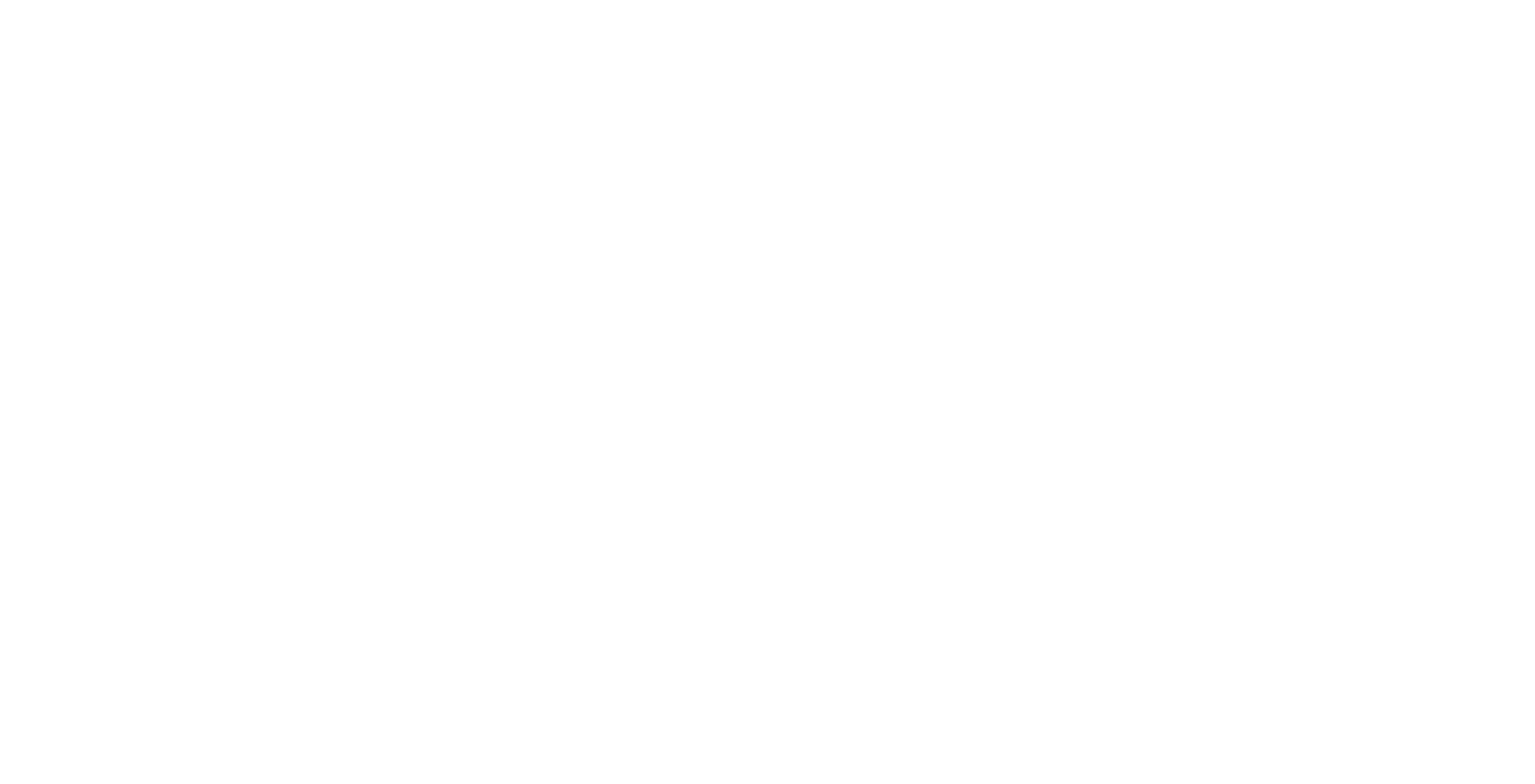 Business Services 20 Xero Partner