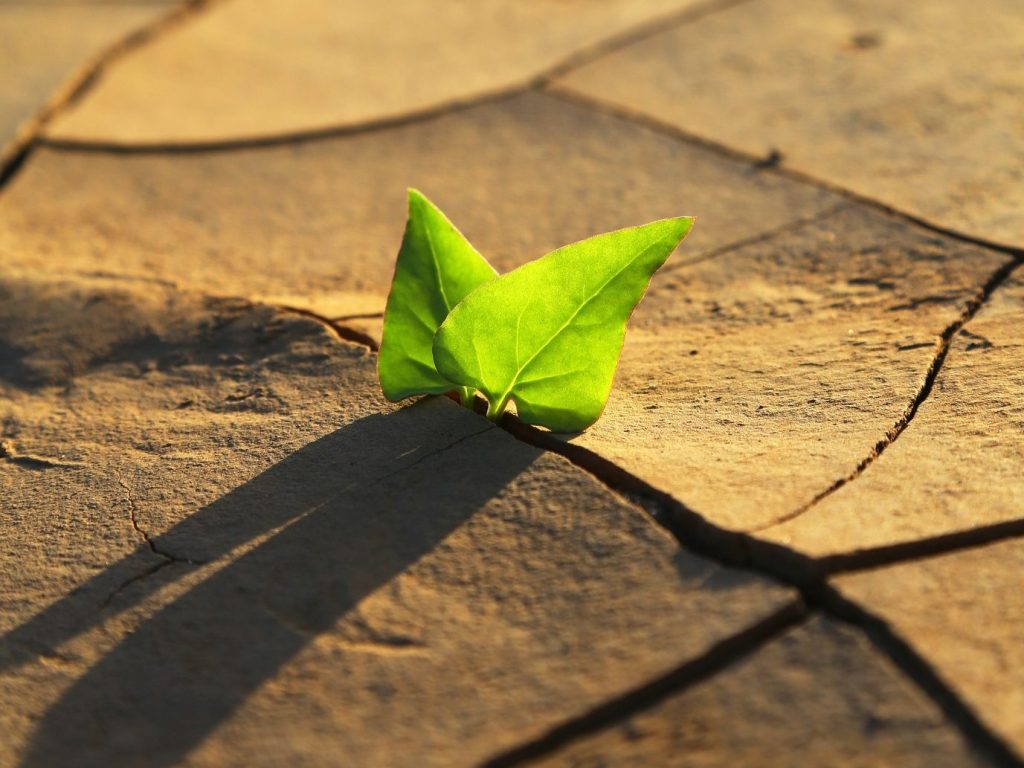 Energy Efficiency: Claim Your $20k Deduction 2 Insight Advisory Group - It's not easy being green - Climate change