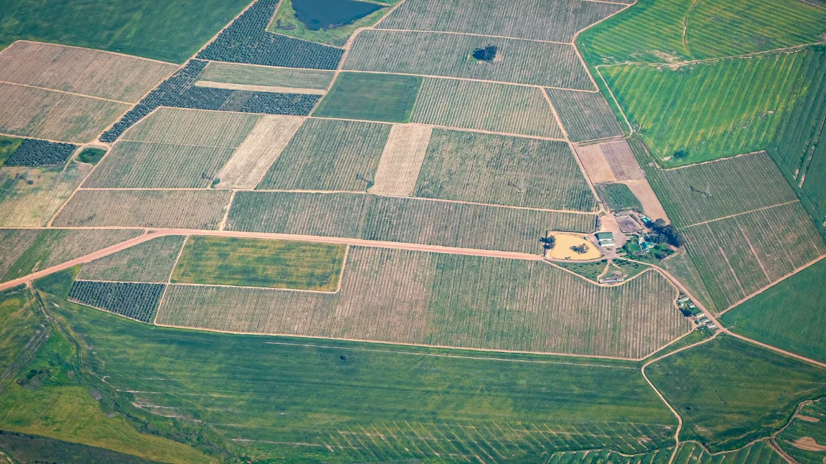 Land Tax WA Explained: How to Reduce Your 2025 Assessment 1 Land Tax WA Explained_ How to Reduce Your 2025 Assessment