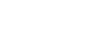 Why Insight 7 xero platinum partner logo white