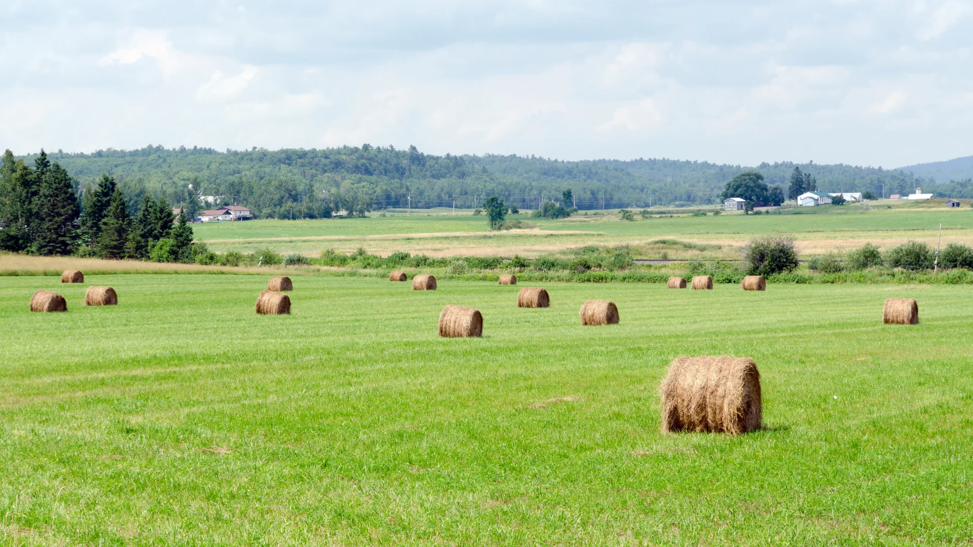 Farm Business Consultants: Expert Strategies for Sustainable Farm Success 2 Farm Business Consultants_ Expert Strategies for Sustainable Farm Success
